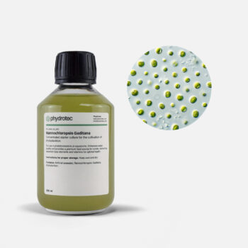 Nannochloropsis Gaditana – 200ml