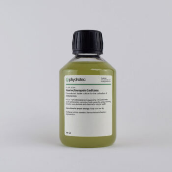 Nannochloropsis Gaditana – 100ml