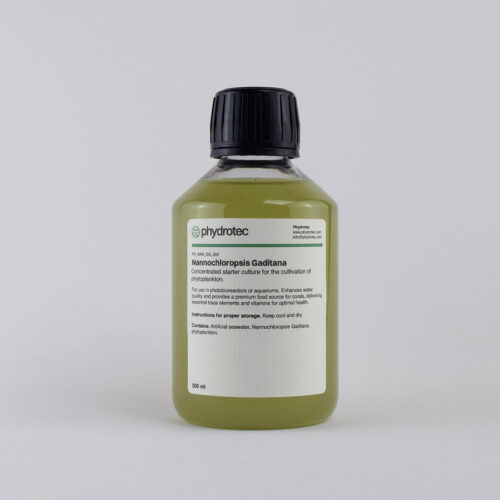 Nannochloropsis Gaditana - 200ml phytoplankton, living culture, marine algae