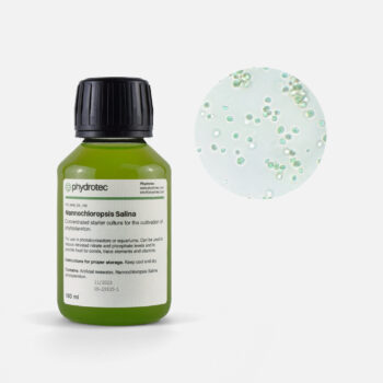 Nannochloropsis Salina – 200ml