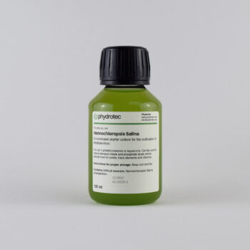 Nannochloropsis Salina –  100ml