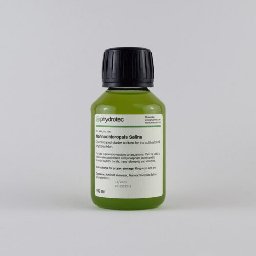 Nannochloropsis Salina - 100ml phytoplankton, living culture, marine algae