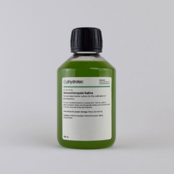 Nannochloropsis Salina –  500ml