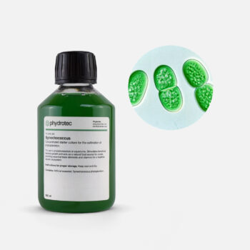 Synechococcus –  200ml