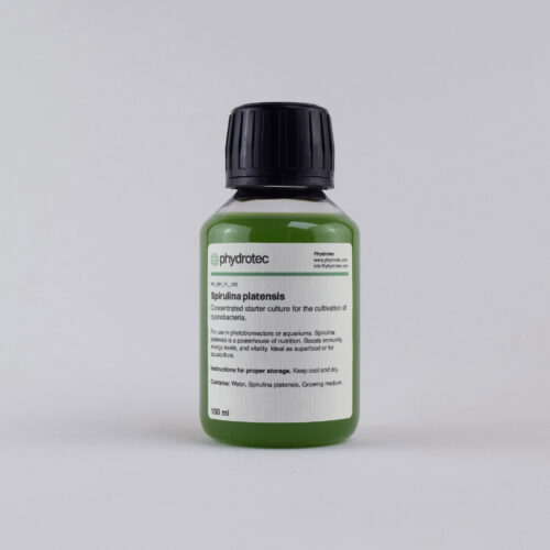 Spirulina Platensis cyanobacteria - 1oo ml