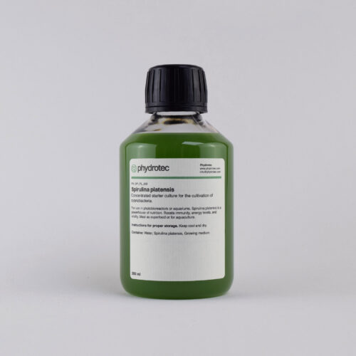 Spirulina Platensis cyanobacteria - 2oo ml