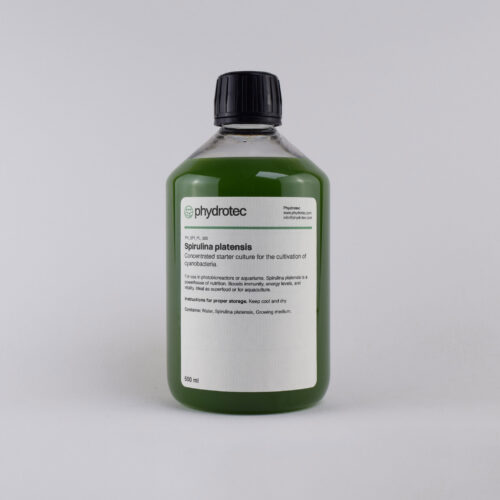 Spirulina Platensis cyanobacteria - 5oo ml