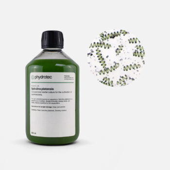 Spirulina Platensis – 500ml