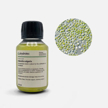 Chlorella Vulgaris – 100ml