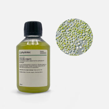 Chlorella Vulgaris – 200ml