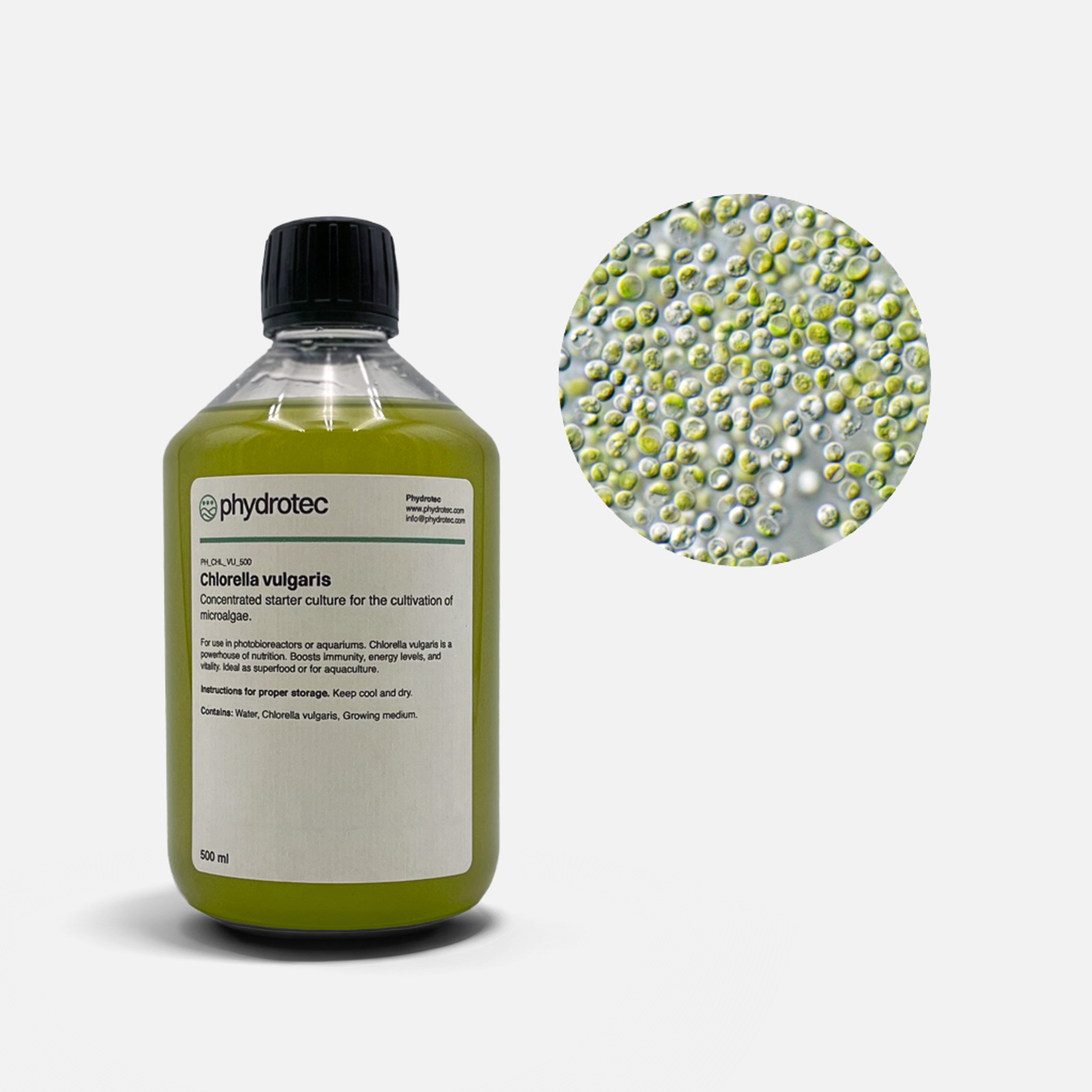 Living Chlorella Vulgaris algae culture - 500 ml