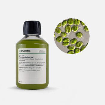 Tetraselmis Suecica – 200ml